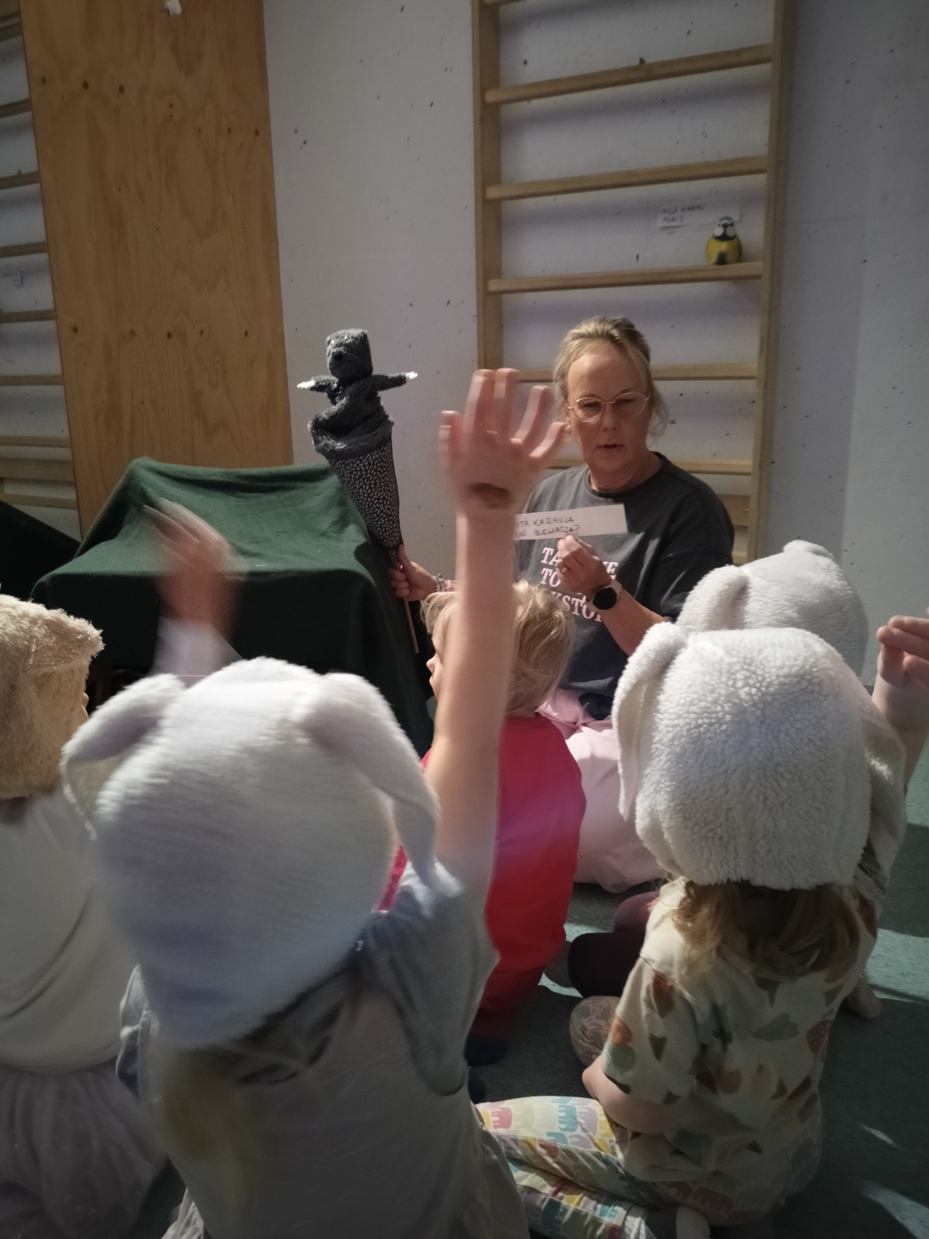 Minkävärisiä karhut ovat?